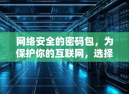 网络安全的密码包,为保护你的互联网,选择这些VPN 网络安全的密码包,为保护你的互联网,选择这些VPN