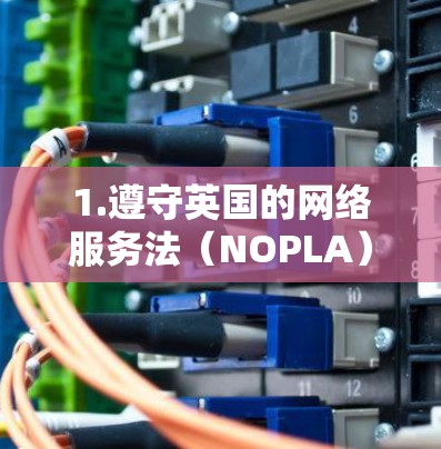 1.遵守英国的网络服务法(NOPLA) 1.遵守英国的网络服务法(NOPLA)