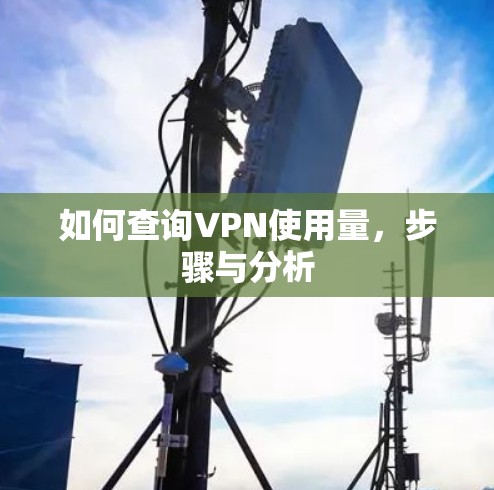 如何查询VPN使用量,步骤与分析 如何查询VPN使用量,步骤与分析
