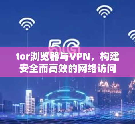 tor浏览器与VPN,构建安全而高效的网络访问