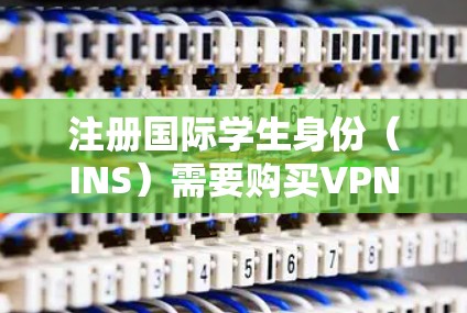 注册国际学生身份（INS）需要购买VPN服务，以访问国际网络和内容。以下是详细的步骤和建议