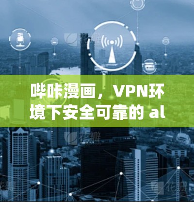 哔咔漫画，VPN环境下安全可靠的 ally