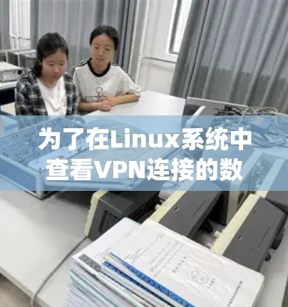 为了在Linux系统中查看VPN连接的数量，您可以按照以下步骤操作