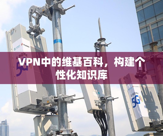 VPN中的维基百科，构建个性化知识库
