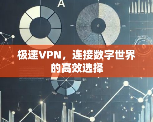 极速VPN，连接数字世界的高效选择