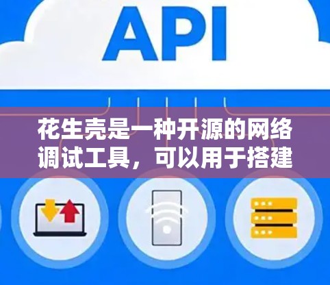 花生壳是一种开源的网络调试工具，可以用于搭建和测试网络环境。虽然它主要用于网络调试，但它也可以用于学习和理解VPN技术。以下是一个简单教程，帮助你学习如何使用花生壳搭建VPN