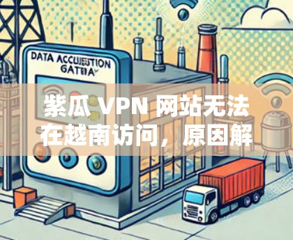 紫瓜 VPN 网站无法在越南访问，原因解析及解决方案