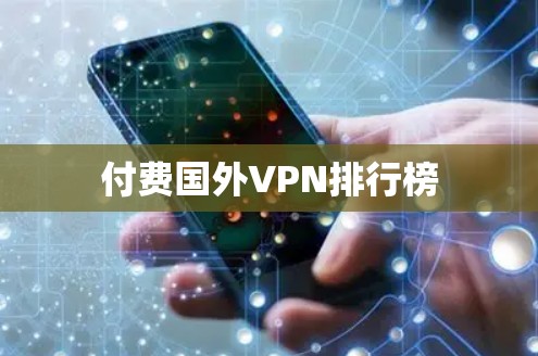 付费国外VPN排行榜 付费国外VPN排行榜