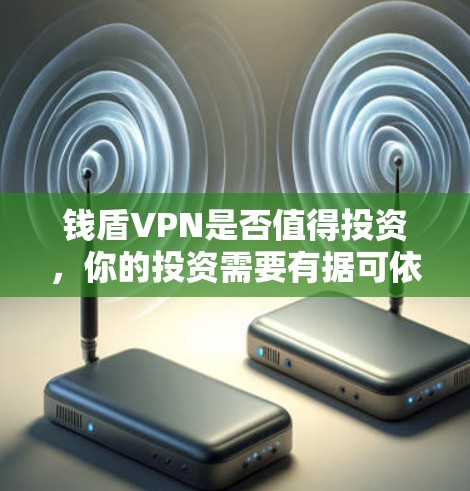 钱盾VPN是否值得投资，你的投资需要有据可依