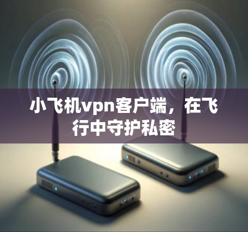 小飞机vpn客户端,在飞行中守护私密 小飞机vpn客户端,在飞行中守护私密