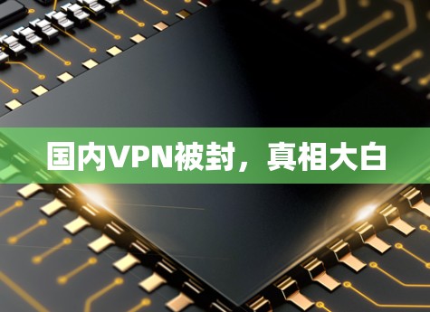 国内VPN被封,真相大白 国内VPN被封,真相大白