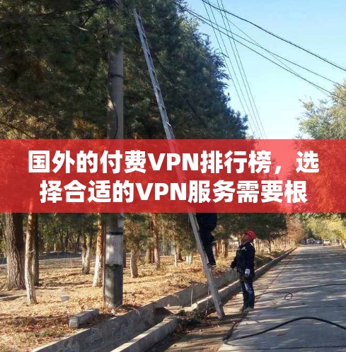 国外的付费VPN排行榜,选择合适的VPN服务需要根据个人需求和预算来决定。以下是几个主要的付费VPN服务推荐,涵盖价格、功能、安全性和适用场景 国外的付费VPN排行榜,选择合适的VPN服务需要根据个人需求和预算来决定。以下是几个主要的付费VPN服务推荐,涵盖价格、功能、安全性和适用场景