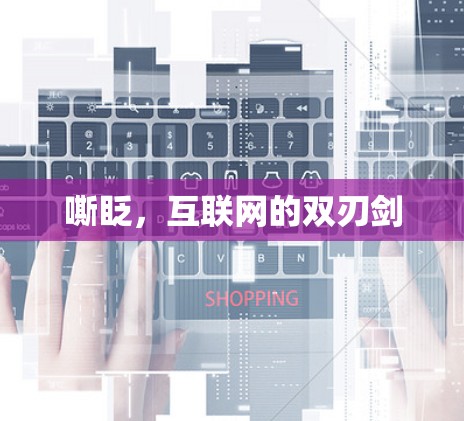 嘶眨,互联网的双刃剑 嘶眨,互联网的双刃剑