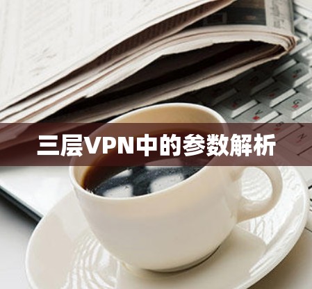 三层VPN中的参数解析 三层VPN中的参数解析