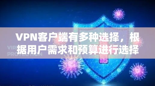 VPN客户端有多种选择，根据用户需求和预算进行选择。以下是几种常见的VPN客户端及其特点