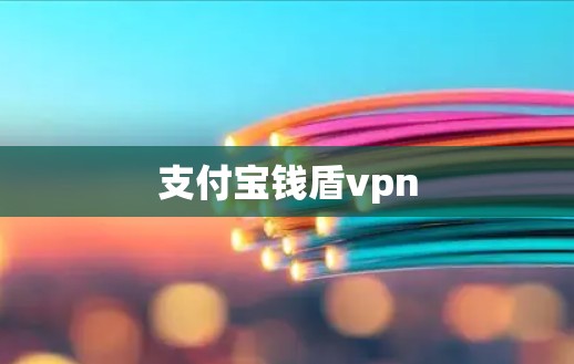 支付宝钱盾vpn 支付宝钱盾vpn