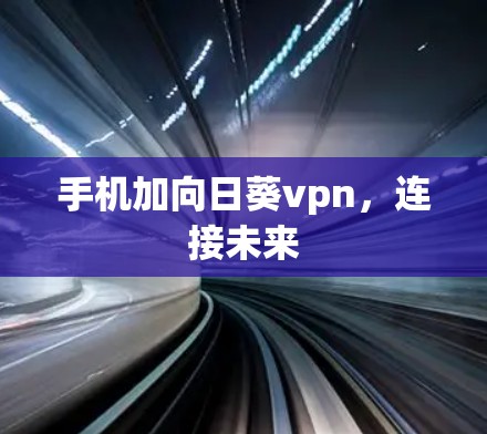 手机加向日葵vpn,连接未来 手机加向日葵vpn,连接未来