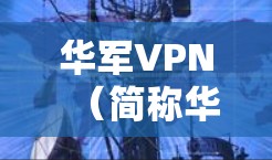 华军VPN（简称华军VPN）是一家知名的VPN服务公司，专注于提供安全、可靠的VPN解决方案。如果你是想在游戏加速方面寻找工具，可能需要寻找专门针对网络游戏加速的软件。以下是一些推荐的工具，供你参考