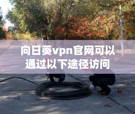 向日葵vpn官网可以通过以下途径访问 向日葵vpn官网可以通过以下途径访问