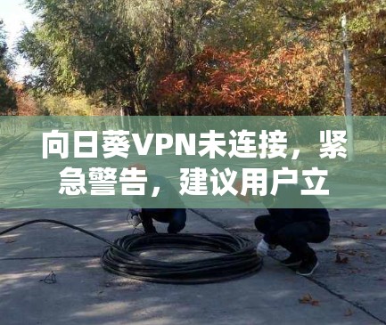向日葵VPN未连接，紧急警告，建议用户立即关闭