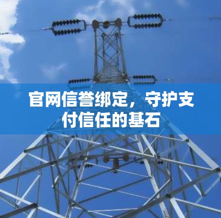 官网信誉绑定,守护支付信任的基石 官网信誉绑定,守护支付信任的基石