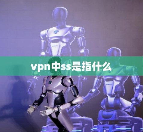 vpn中ss是指什么 vpn中ss是指什么