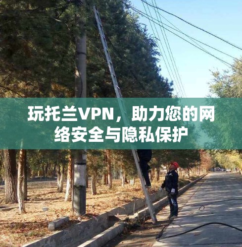 玩托兰VPN,助力您的网络安全与隐私保护 玩托兰VPN,助力您的网络安全与隐私保护
