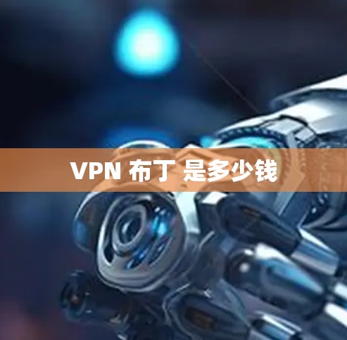 VPN 布丁 是多少钱 VPN 布丁 是多少钱