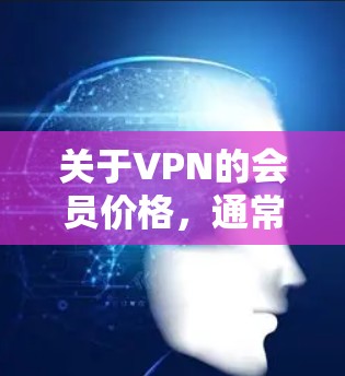 关于VPN的会员价格,通常包括以下内容 关于VPN的会员价格,通常包括以下内容