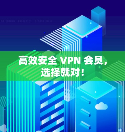 高效安全 VPN 会员，选择就对！