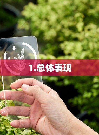 1.总体表现