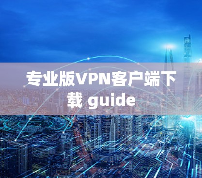 专业版VPN客户端下载 guide