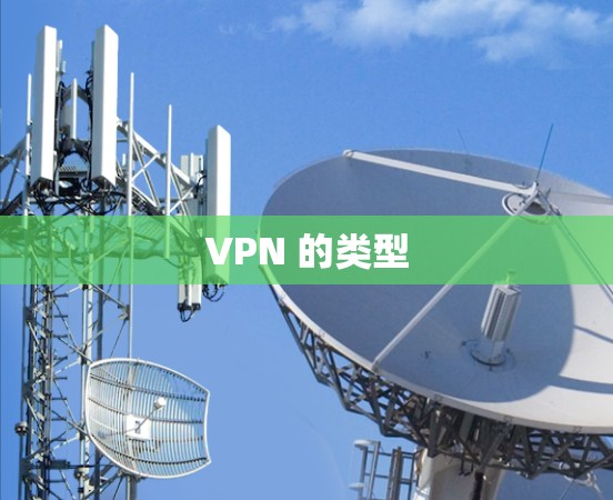 VPN 的类型 VPN 的类型