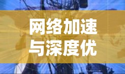 网络加速与深度优化,构建高效VPN网络 网络加速与深度优化,构建高效VPN网络