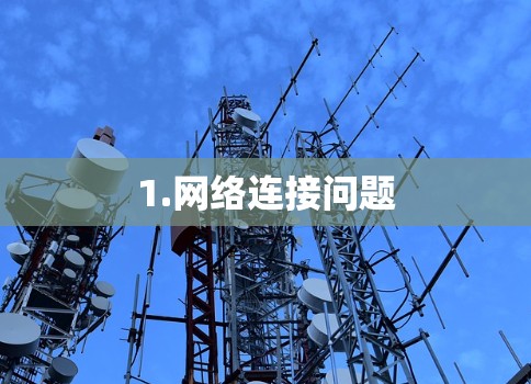 1.网络连接问题