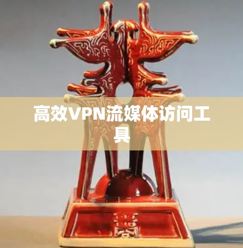 高效VPN流媒体访问工具 高效VPN流媒体访问工具
