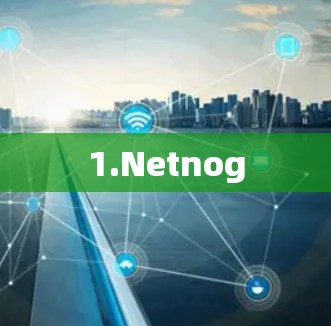 1.Netnog