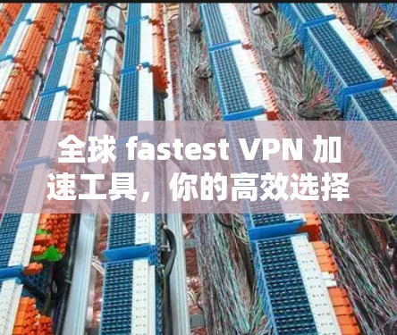 全球 fastest VPN 加速工具,你的高效选择 全球 fastest VPN 加速工具,你的高效选择
